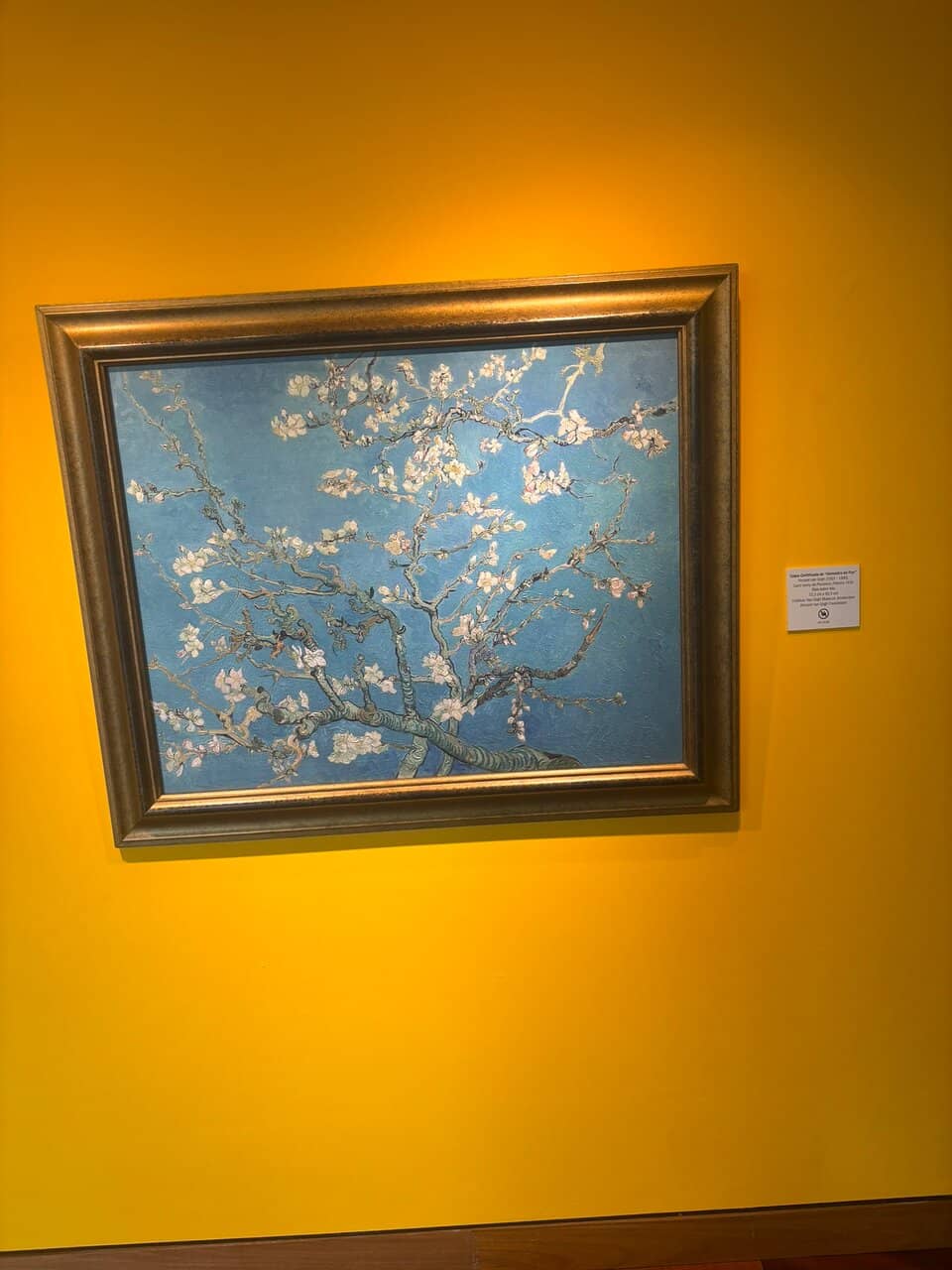 Rotating Exhibitions