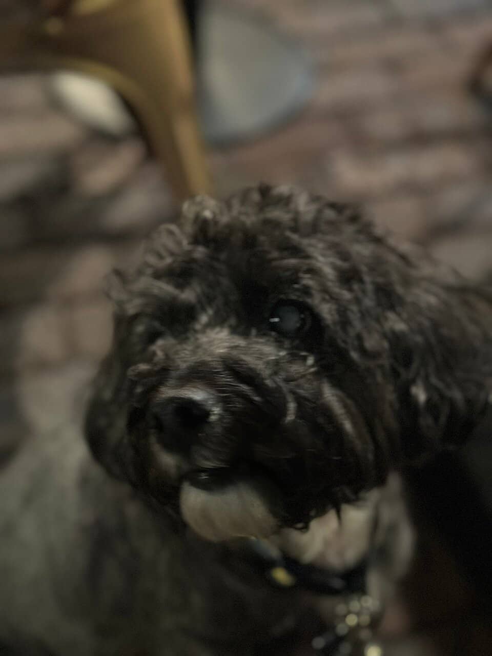 Historic Charm & Architecture