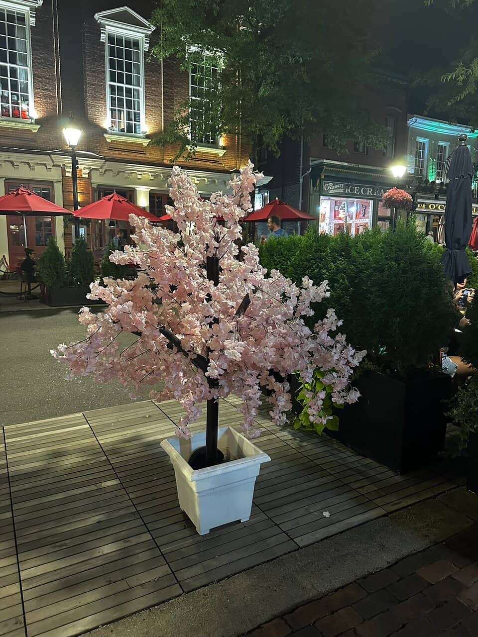 Waterfront Dining & Drinks