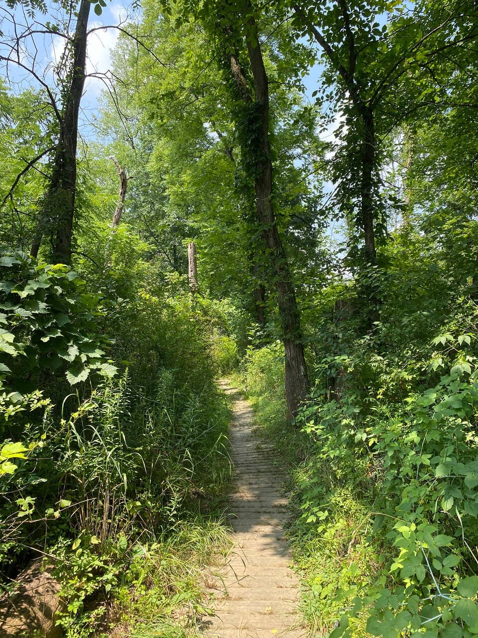 Nature Trails