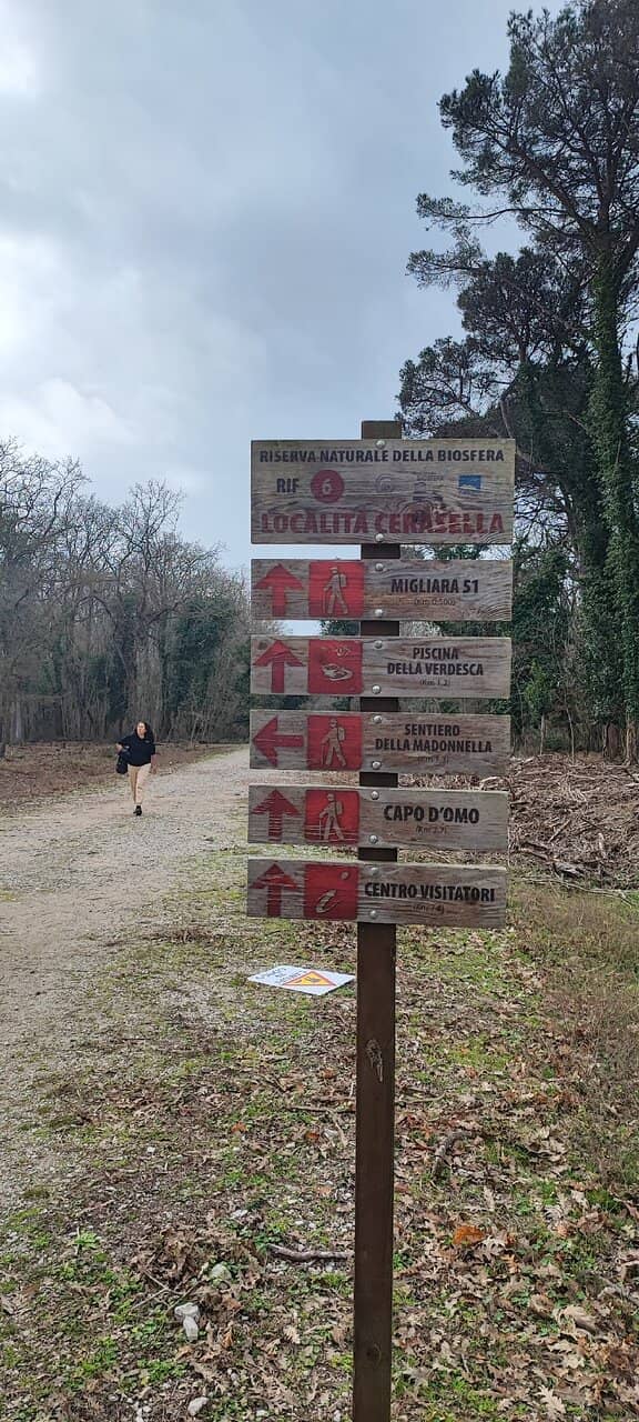 Flamingo Ballet at Lago dei Monaci