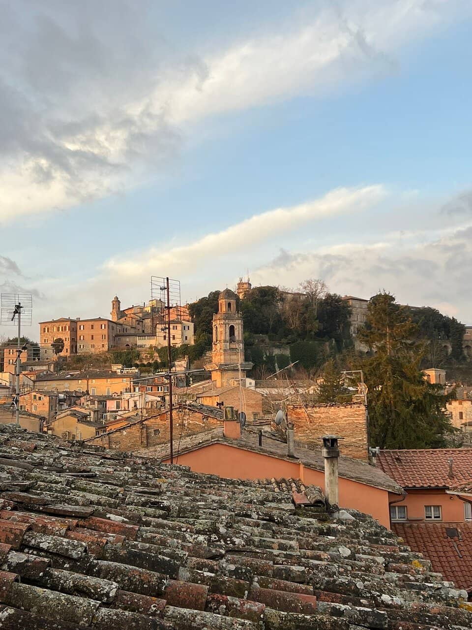 Architectural Fusion