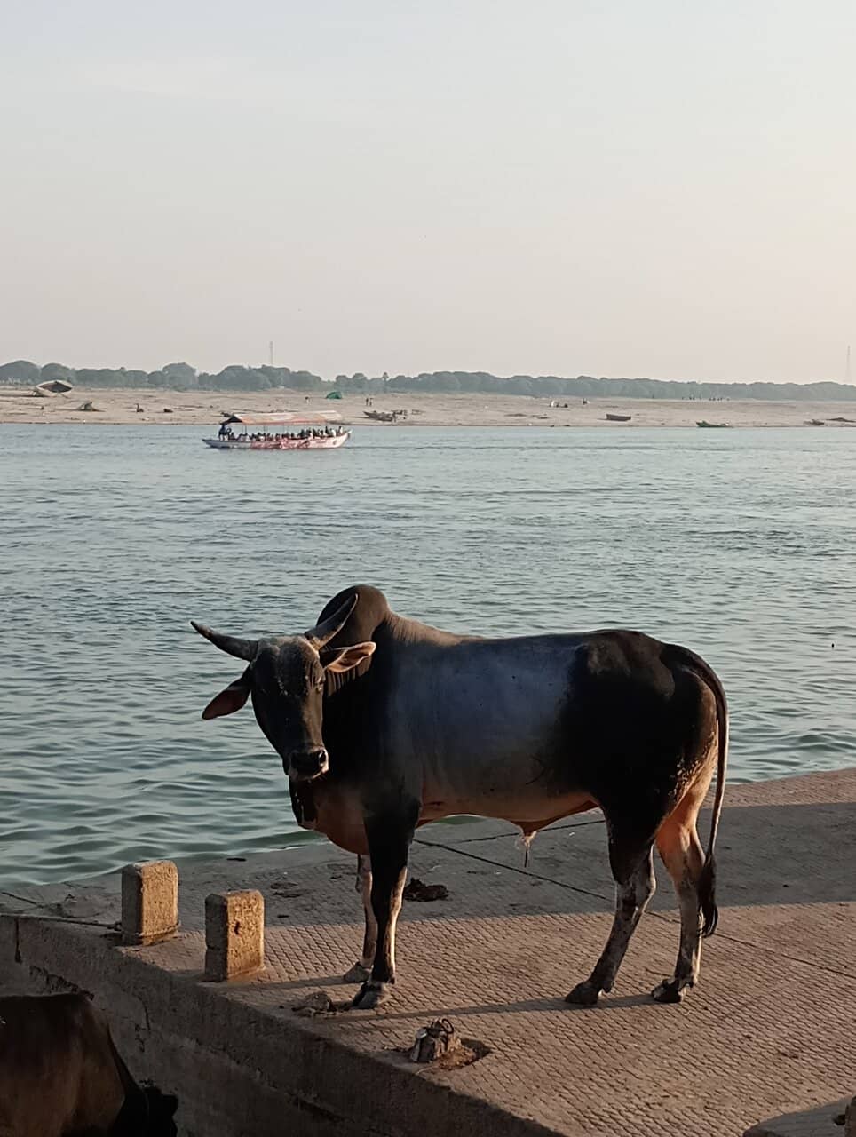 Rooftop Views & Homely Atmosphere