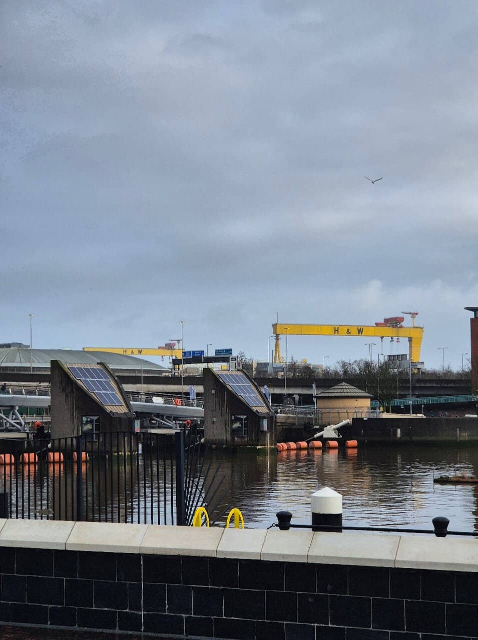 Waterfront Panorama