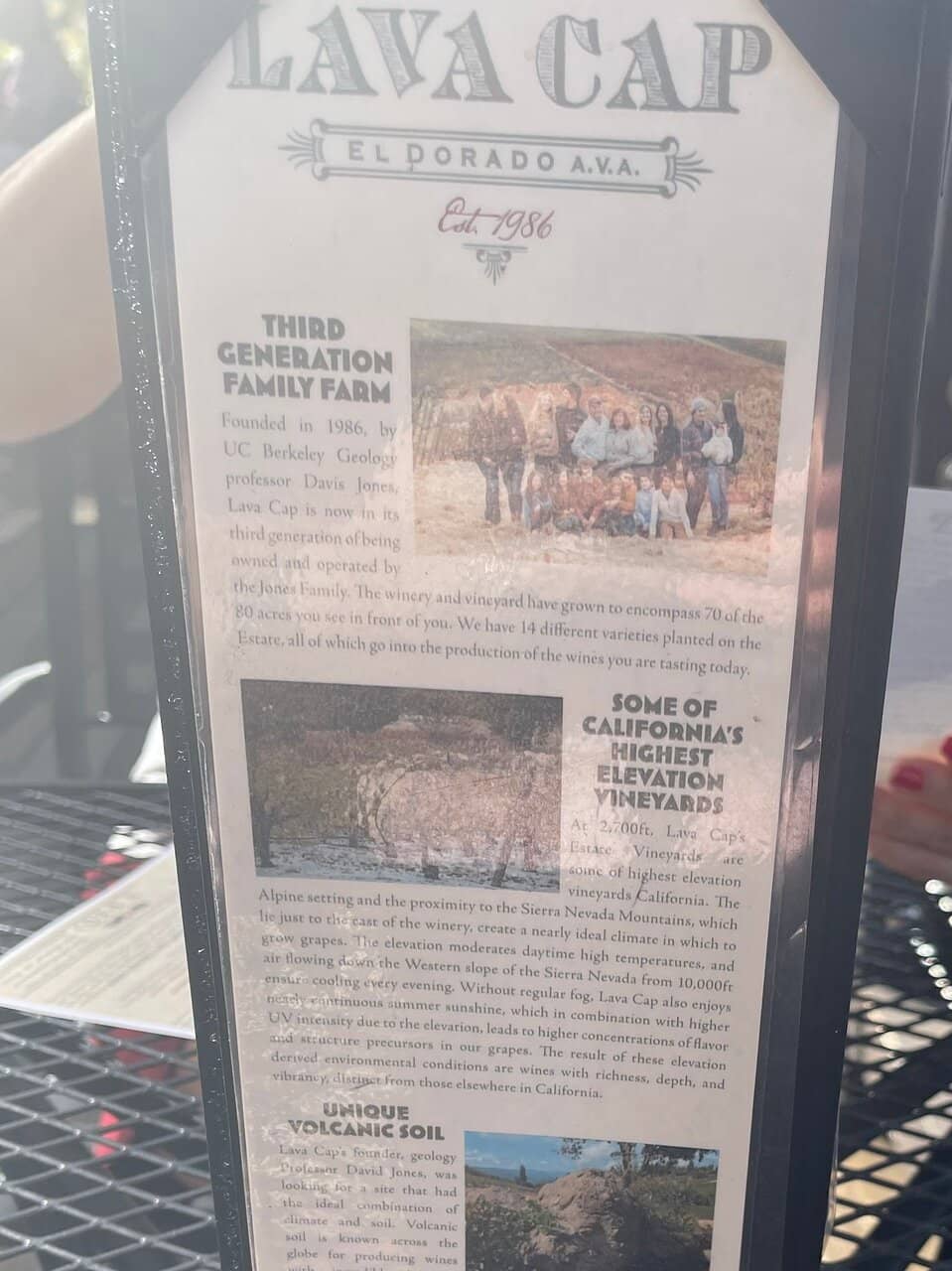 Wine Tasting Experience