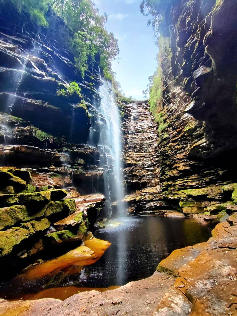 Vertical photo