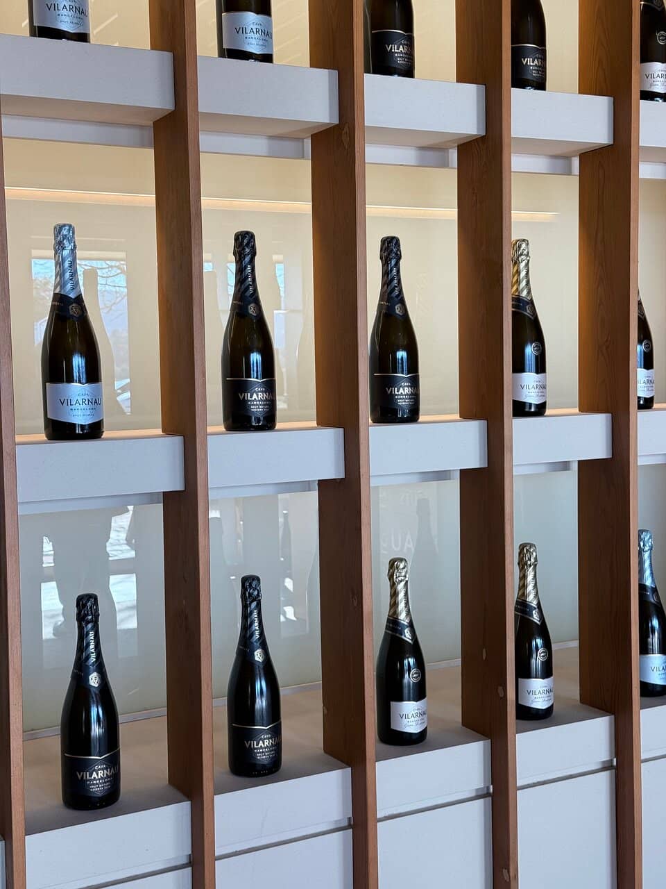 Penedès Vineyard Views