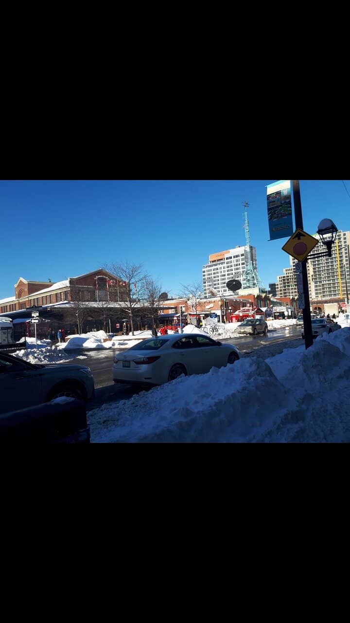 Evening Illumination