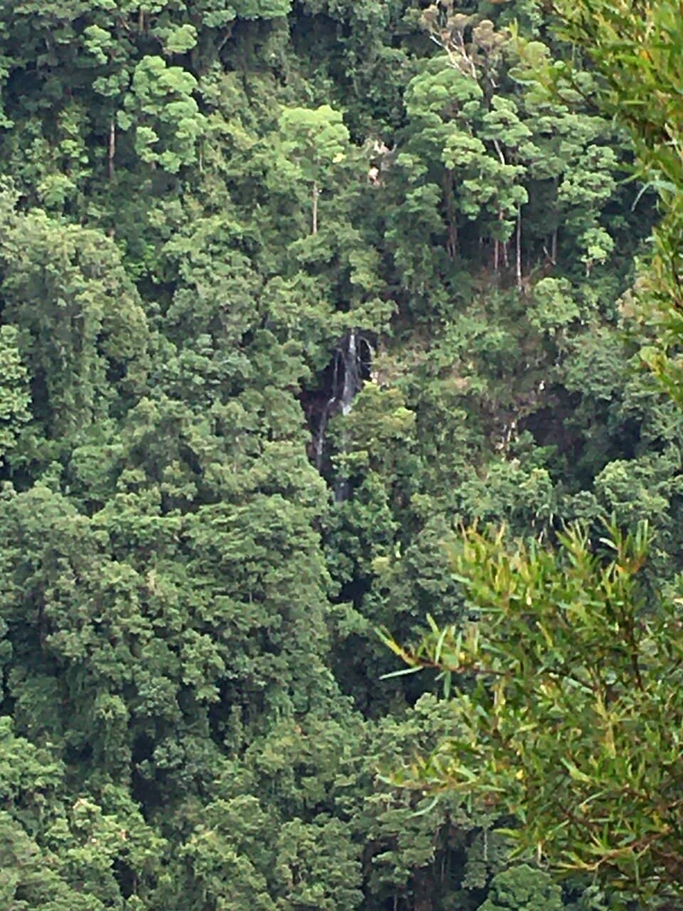 Panoramic City & Ocean Vista