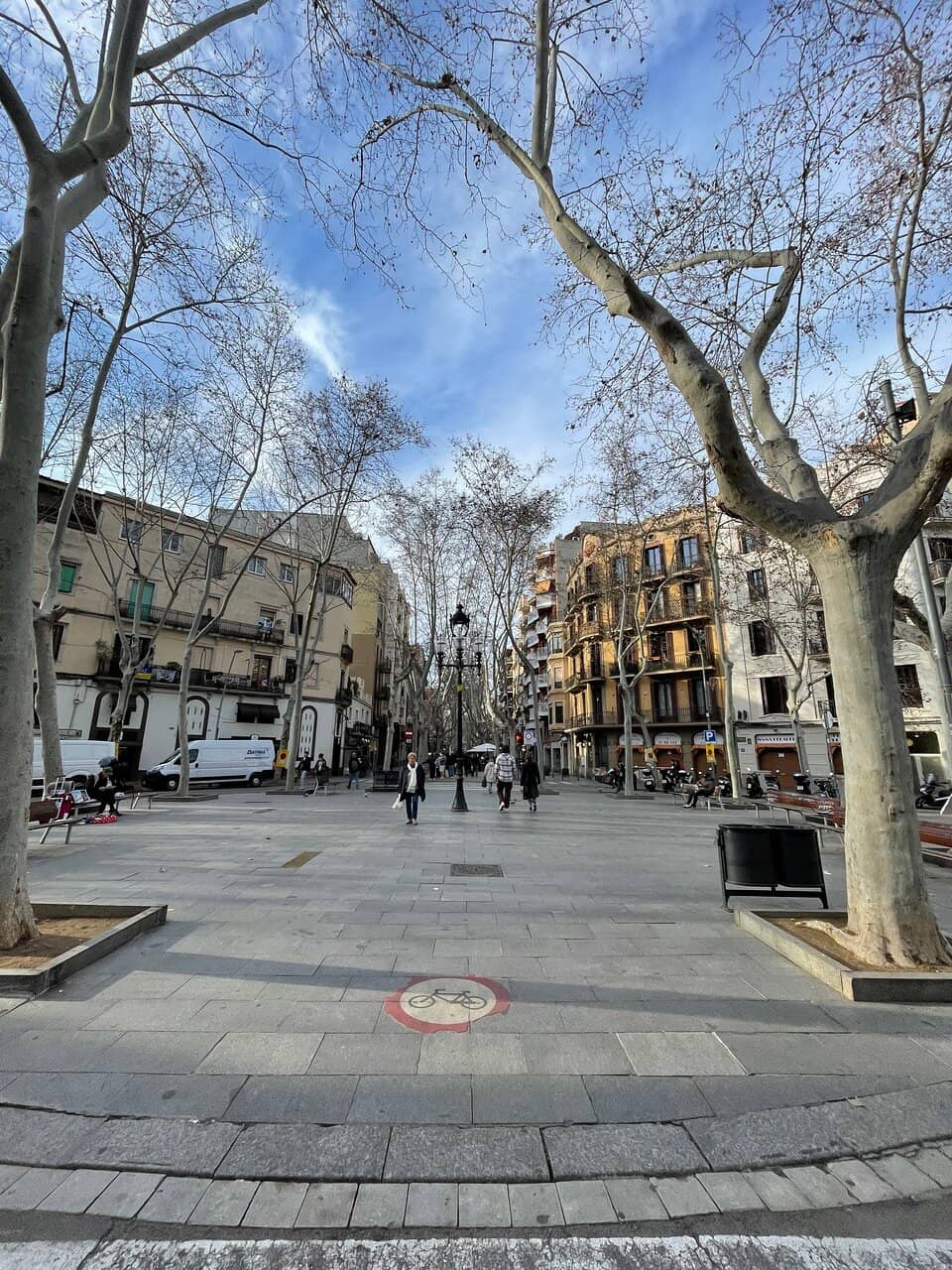 Gastronomic Delights