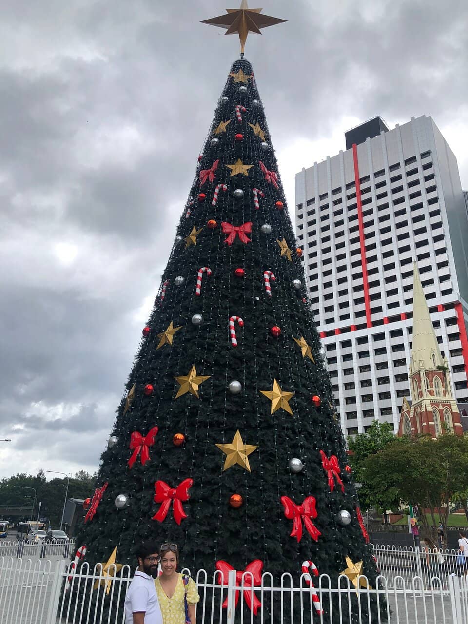 Binny the Bin Chicken