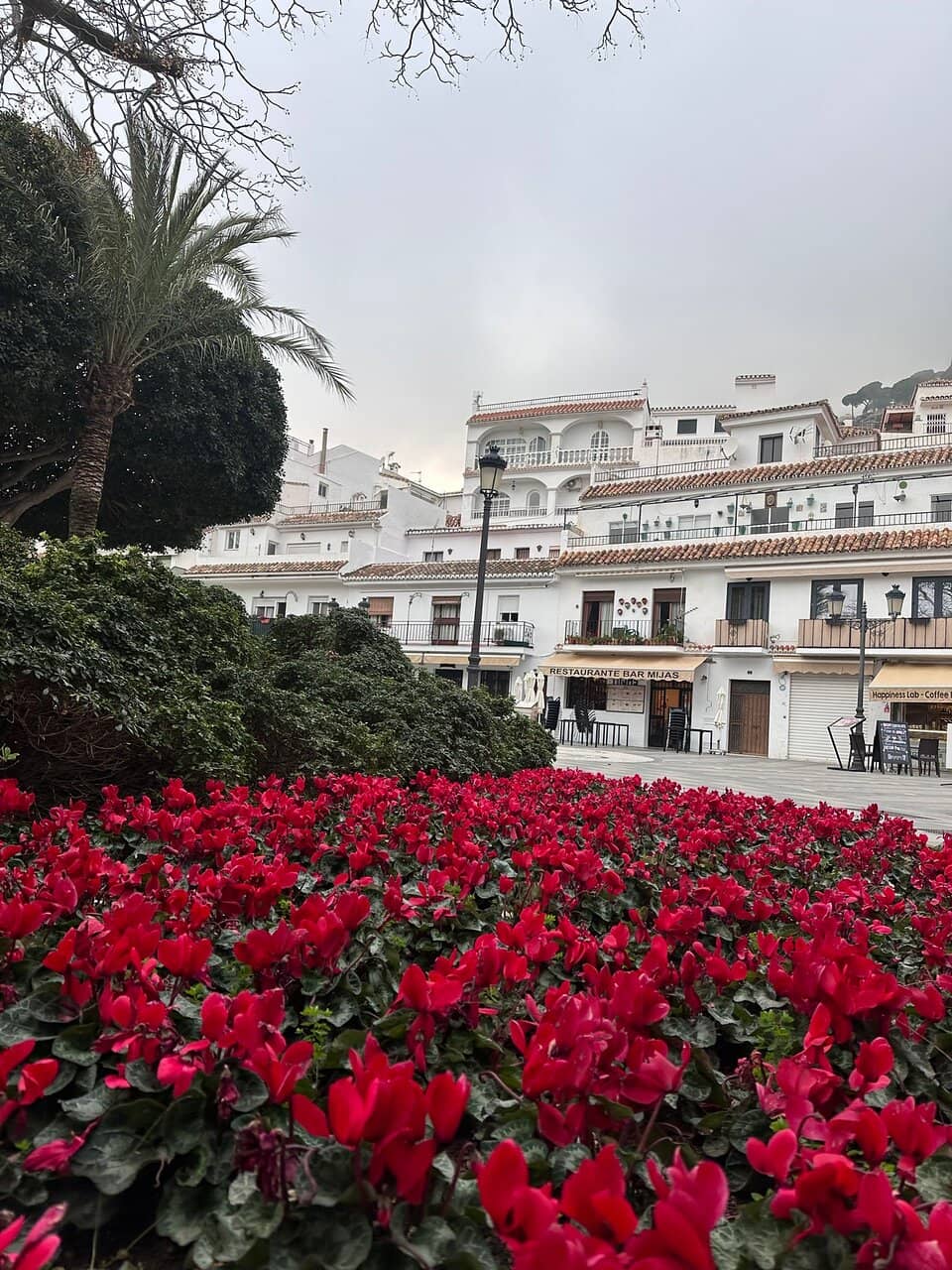 Local Dining and Refreshments