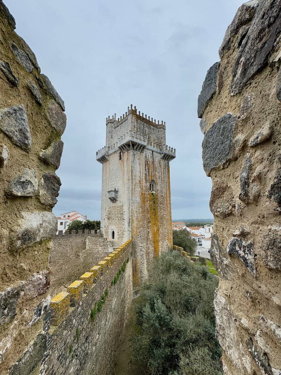 Castle Courtyard and Gardens