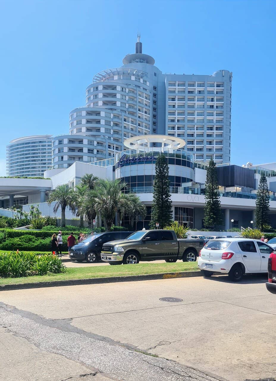 Whale Watching Opportunities