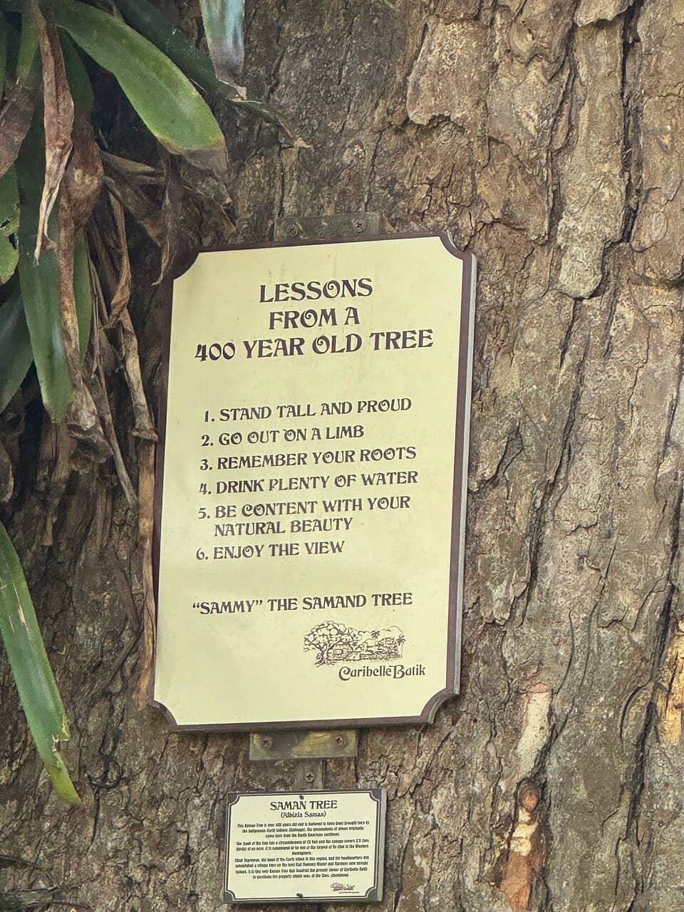 Romney Manor Gardens