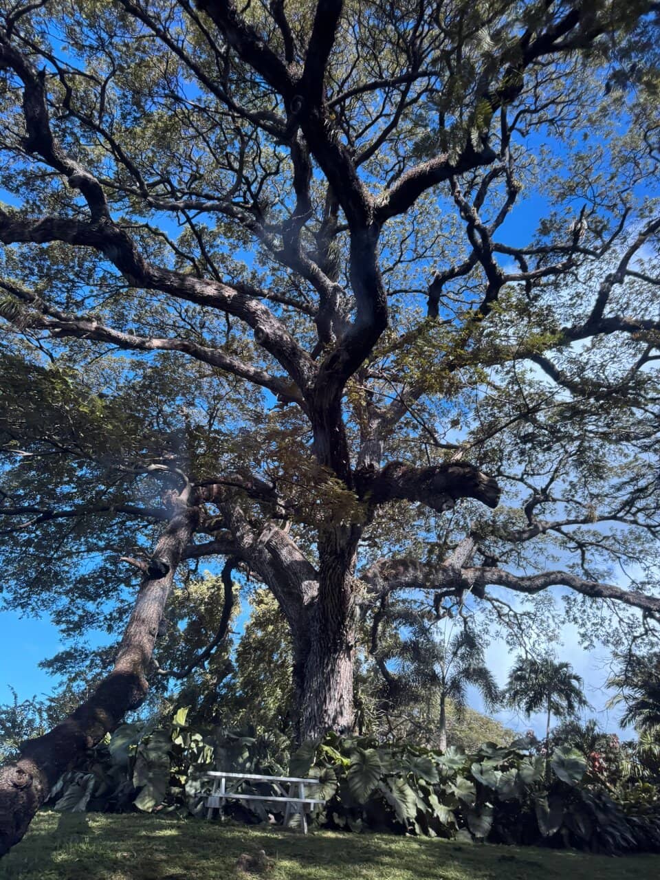 Historic Estate Grounds