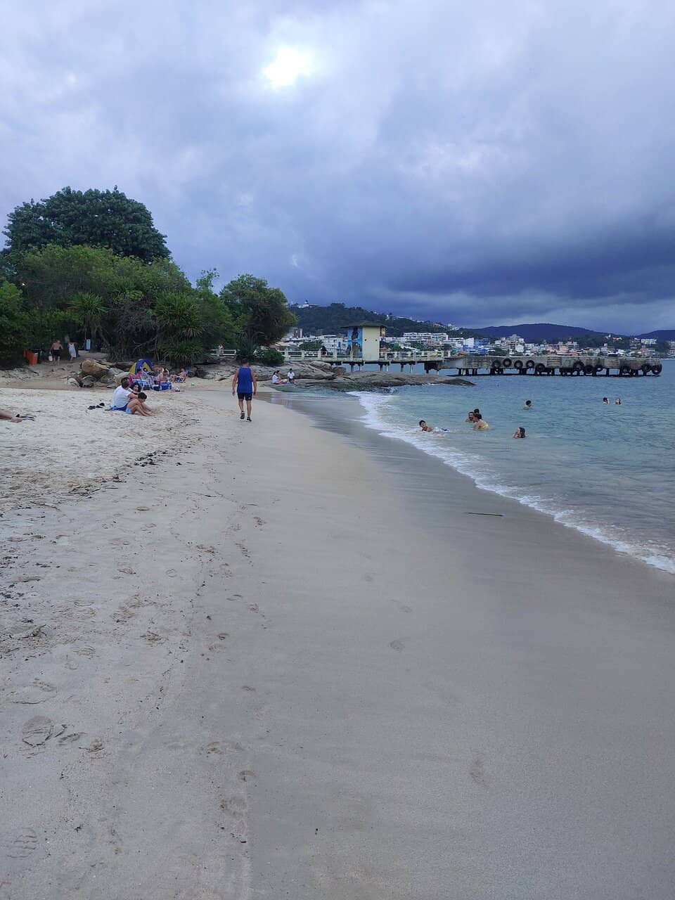 Sea Turtle Encounters