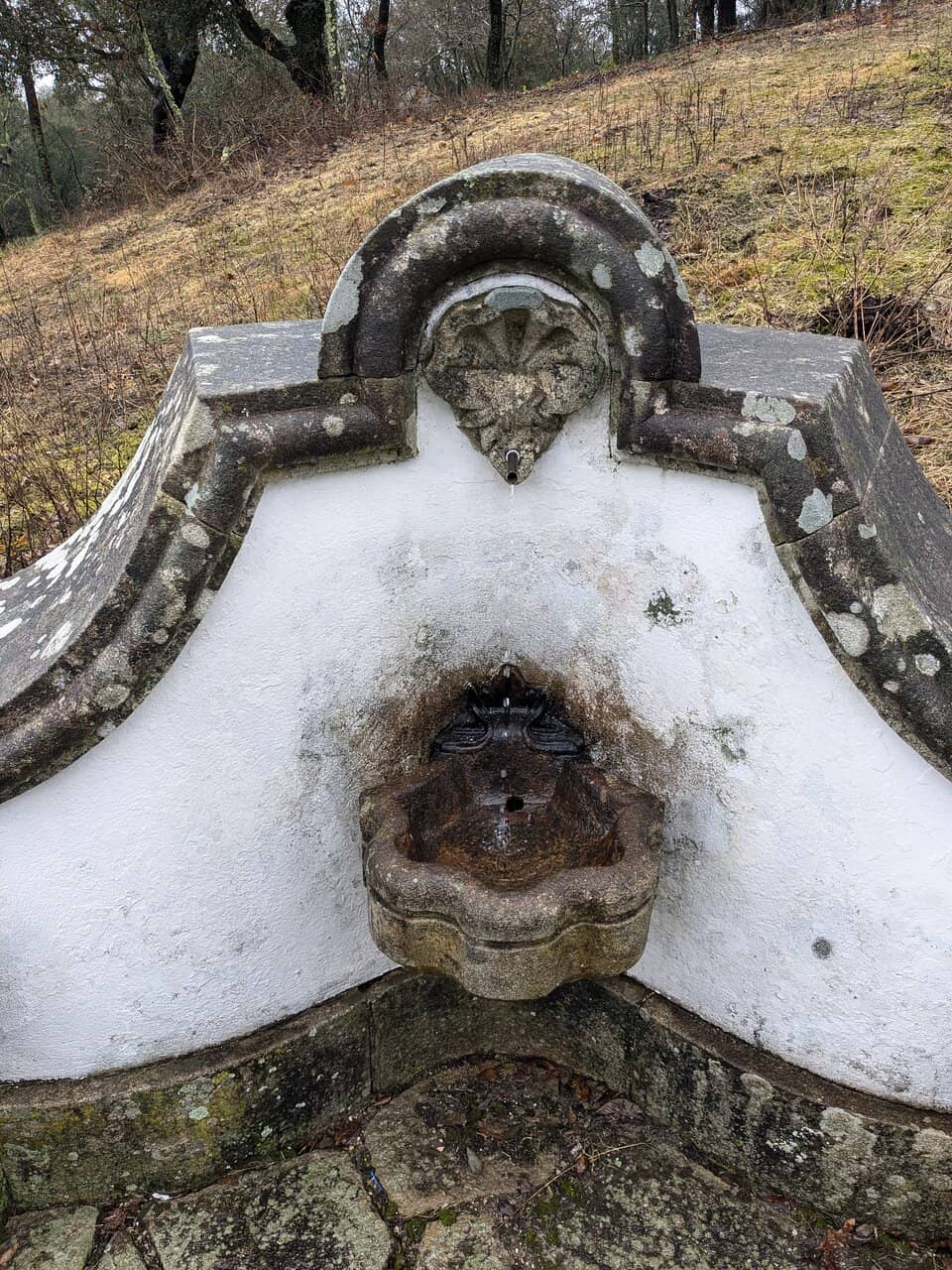 Vertical photo