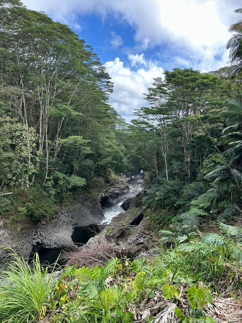 Scenic Viewing Platform
