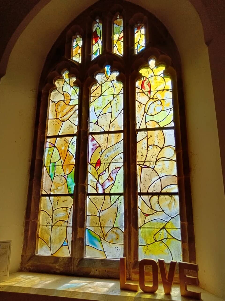 Tranquil Lime Tree Lined Road