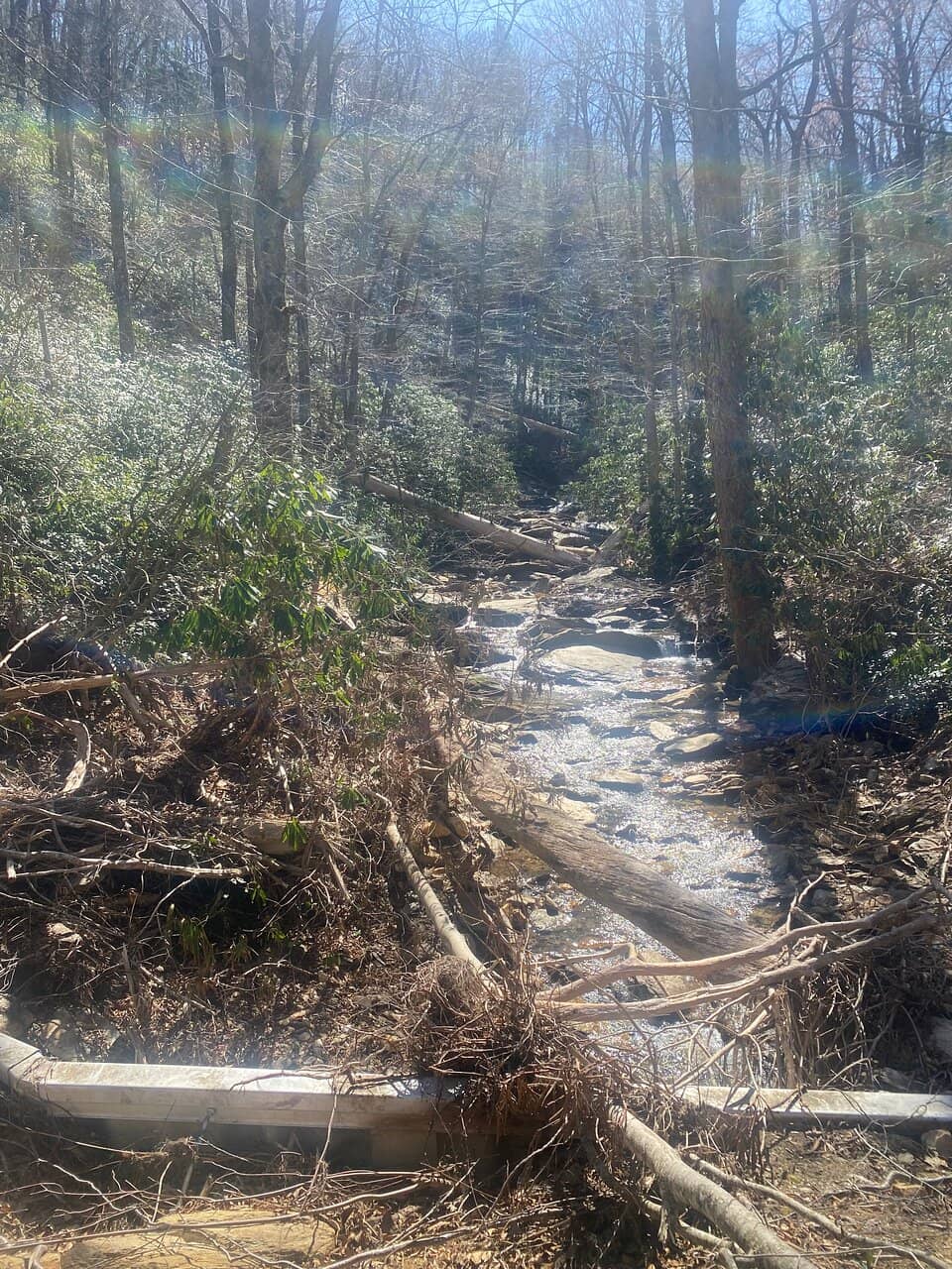 The Ascent to the Top