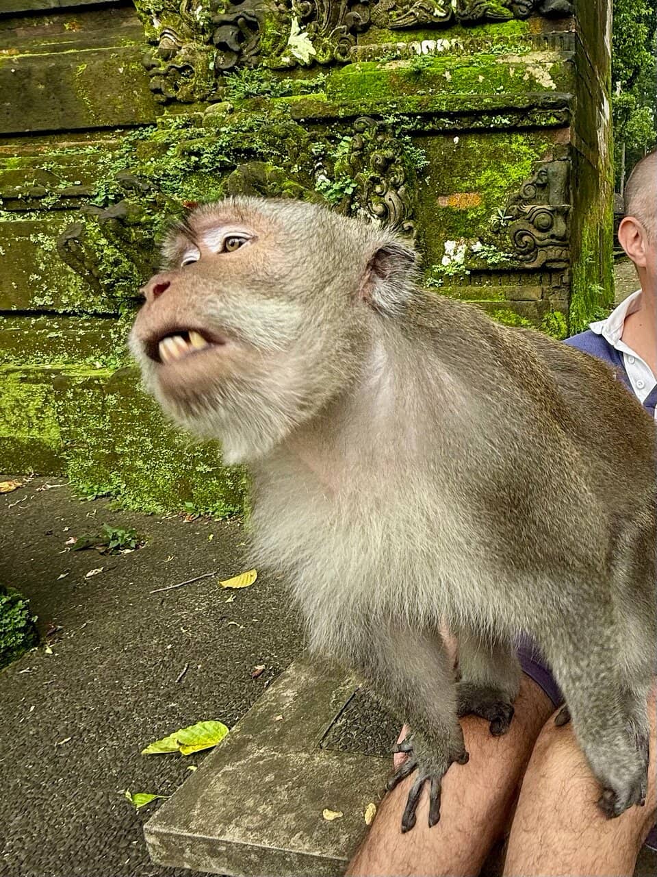 Ancient Temple Grounds