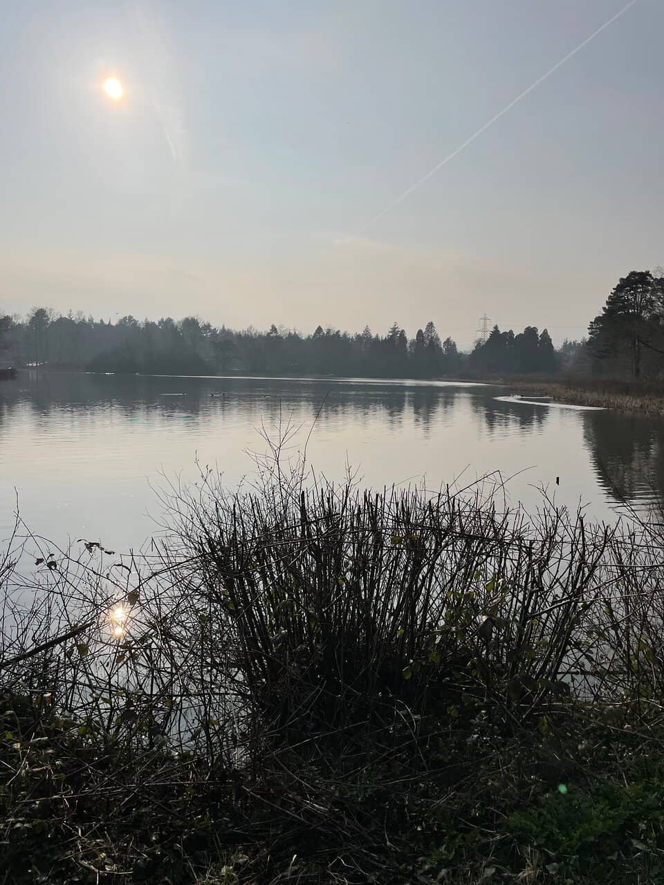 Ted Hughes Poetry Trail