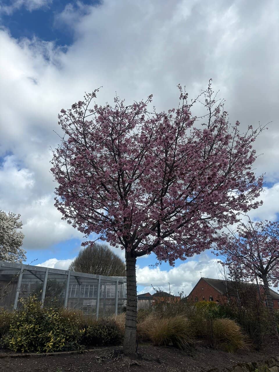 Aviaries and Birdlife