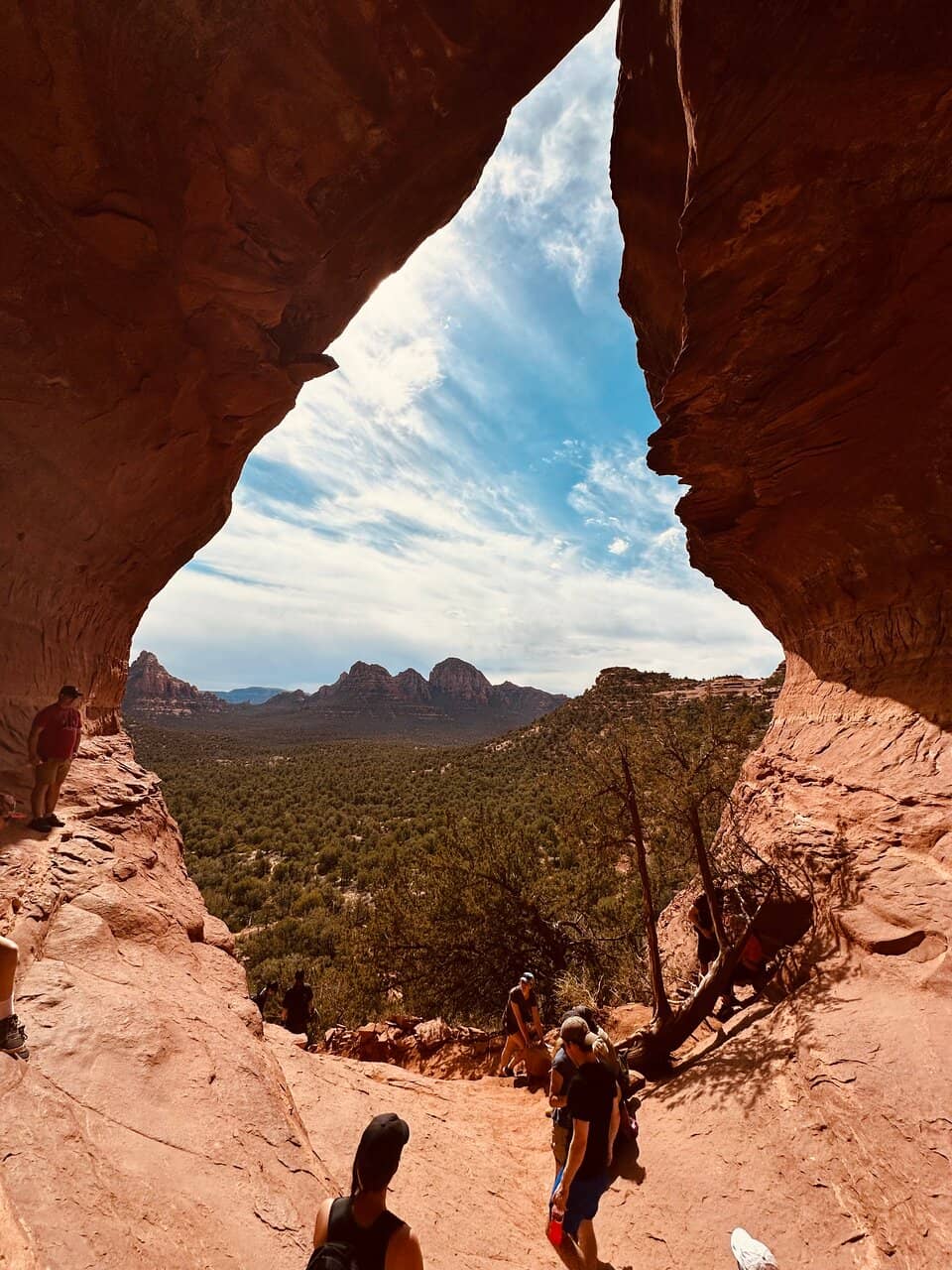 Vertical photo