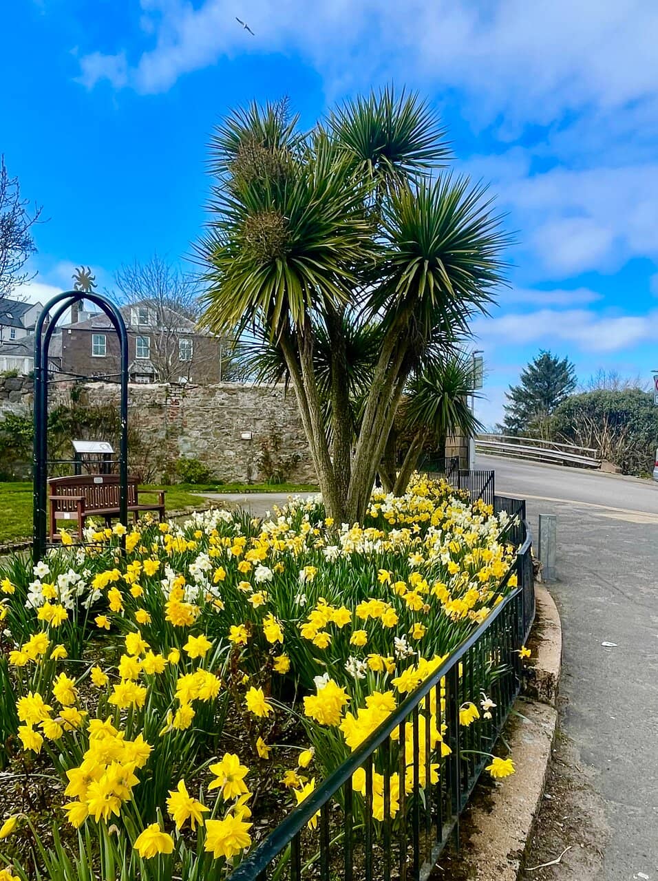 The Serene Gardens