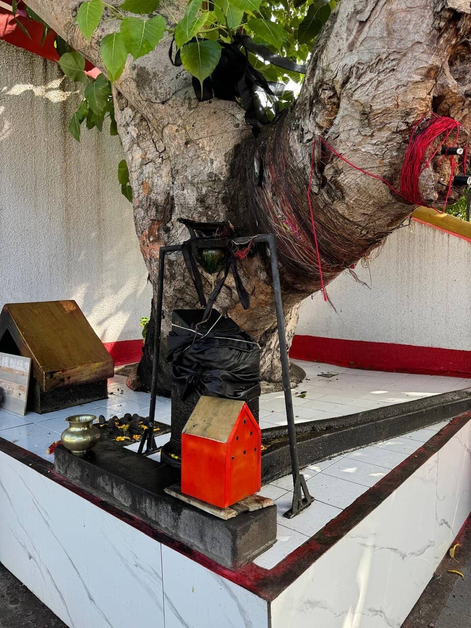 Intricate Architecture