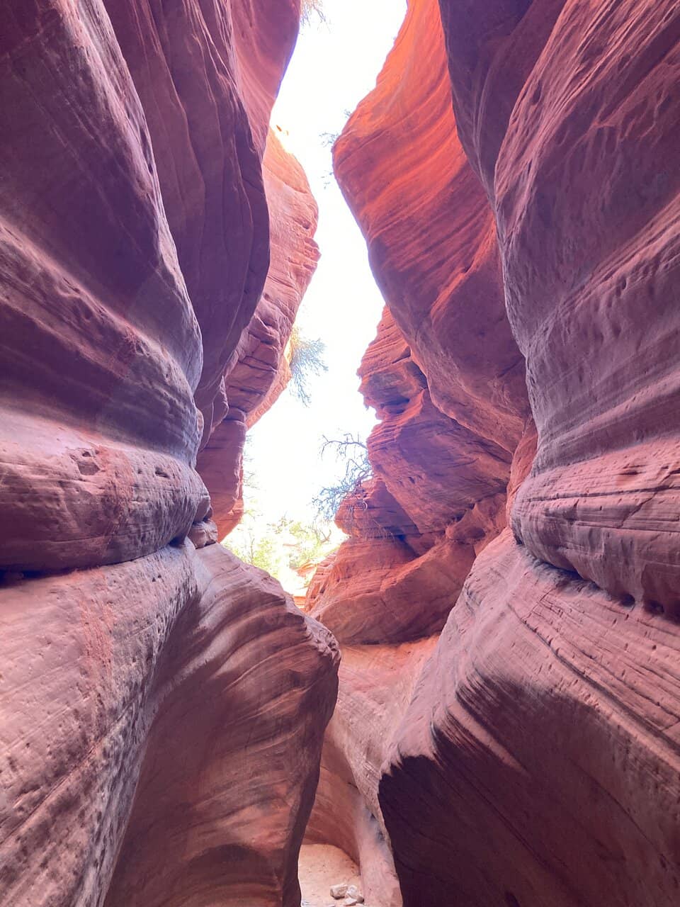 Buckskin Gulch