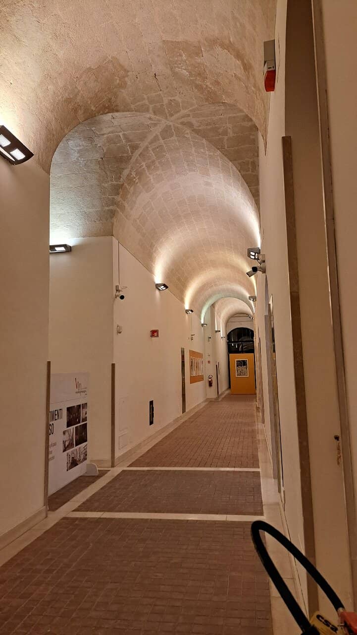 Ancient Whale Remains