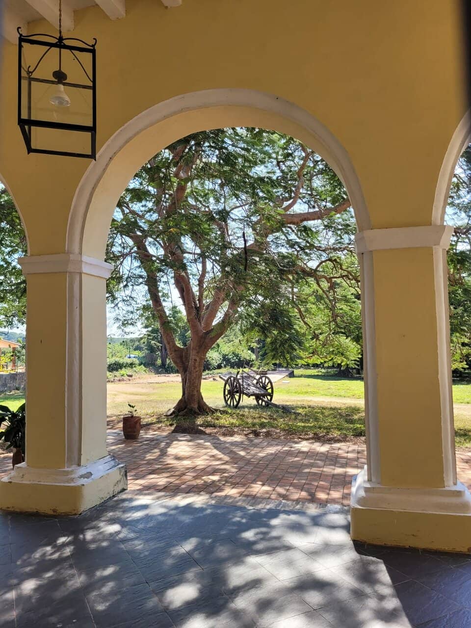 Slave Housing Remains