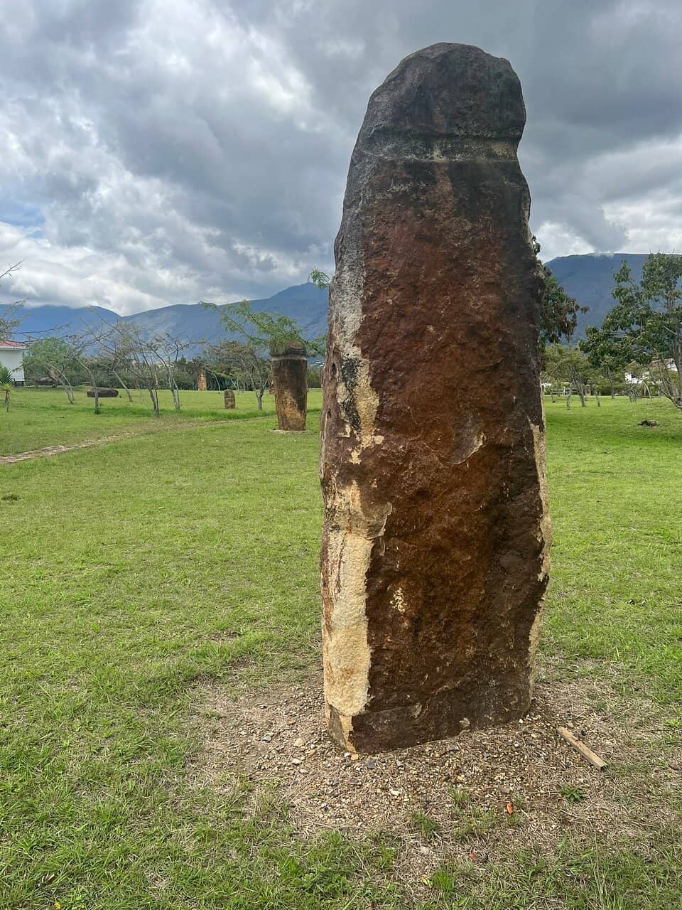Vertical photo