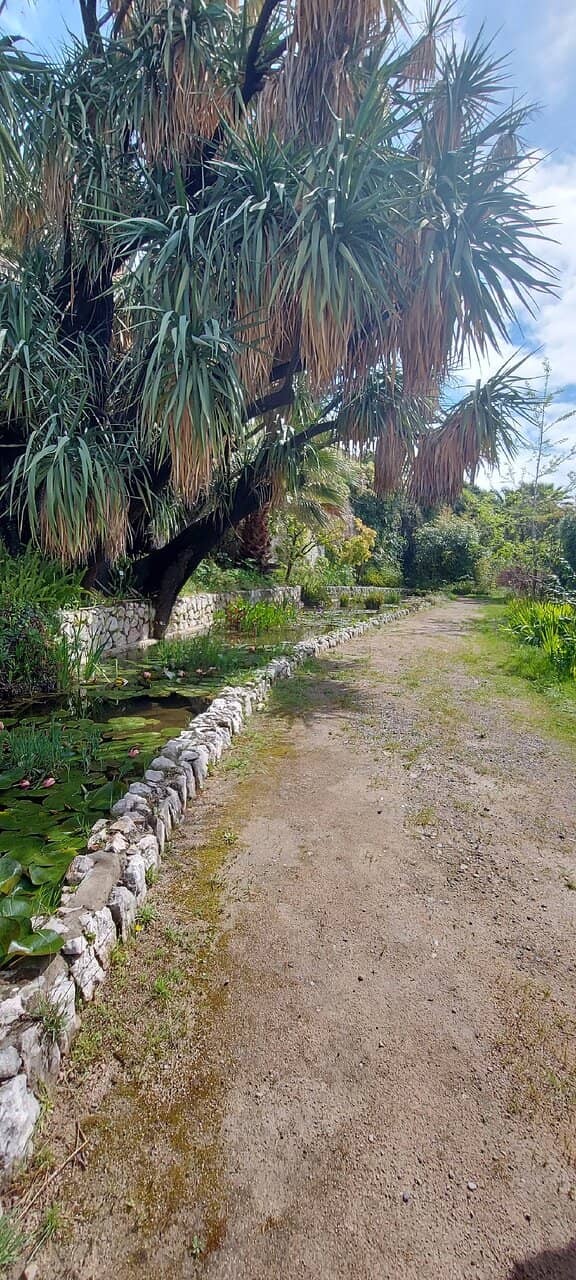 The Botanical Gardens