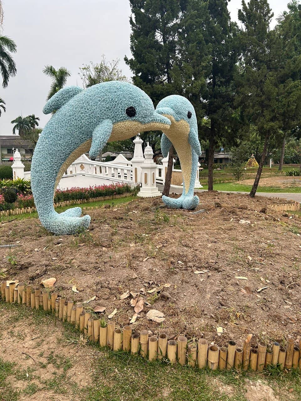 Lively Afternoon Atmosphere