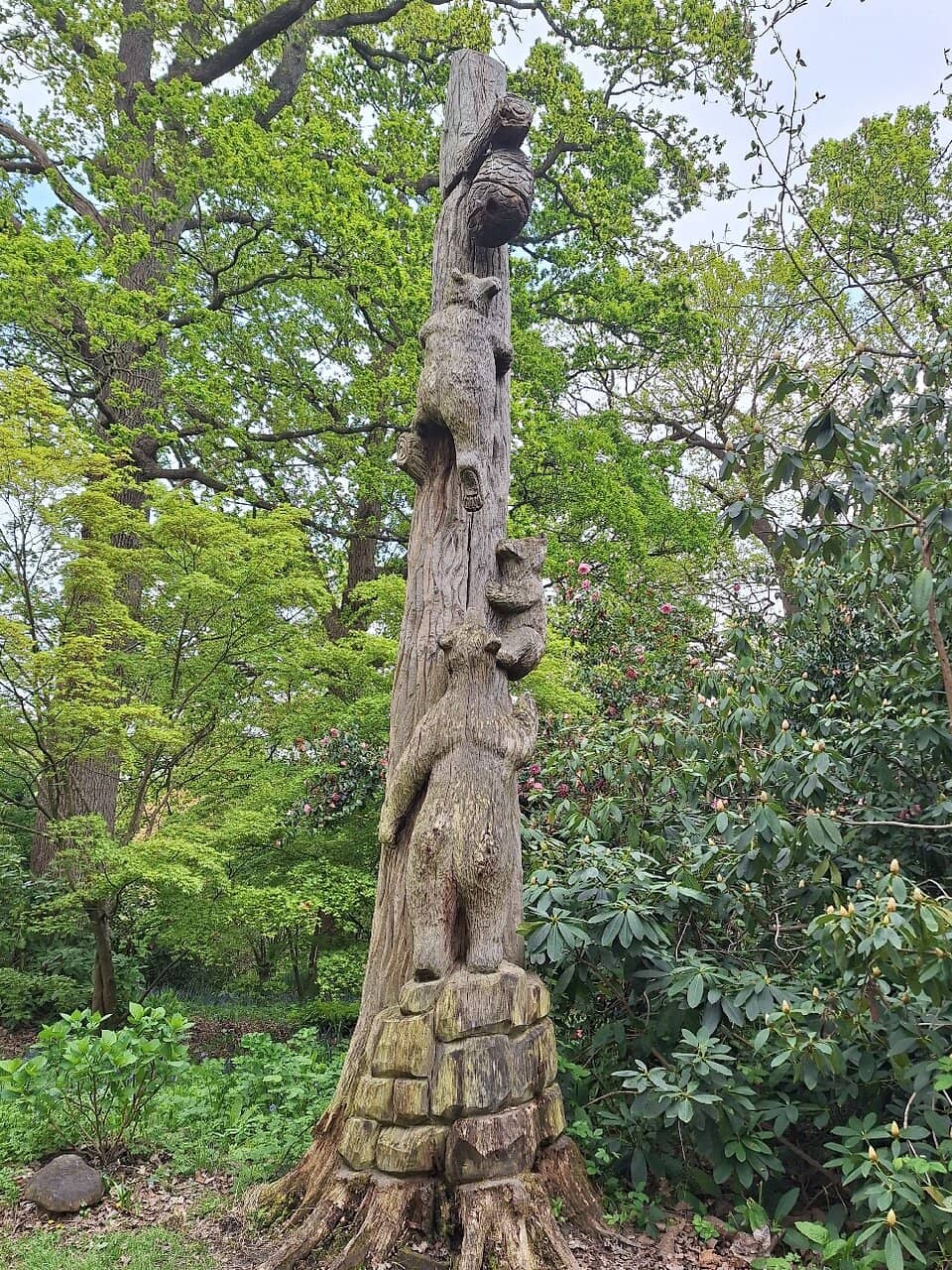 Expansive Green Fields