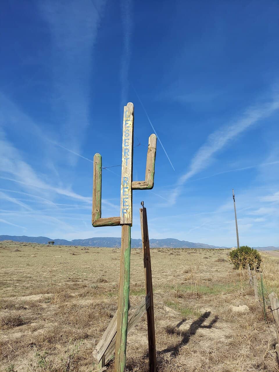 Unique Accommodation Options