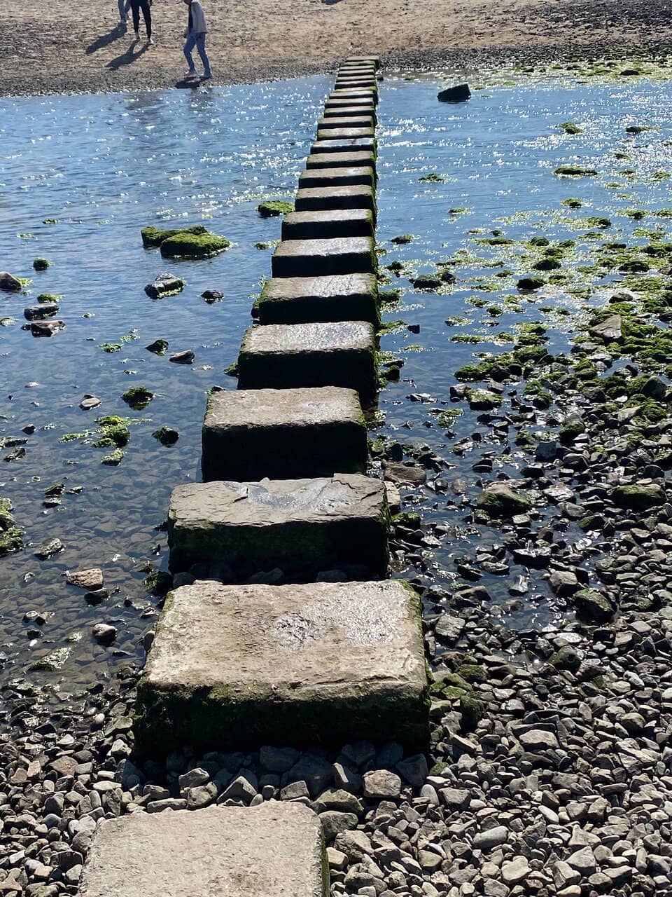 Panoramic Views of Three Cliffs Bay