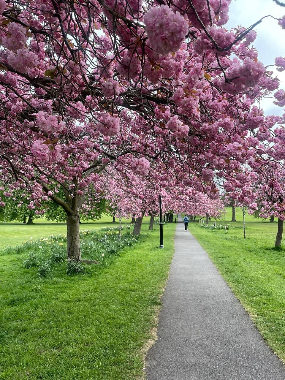Georgian Architecture Views
