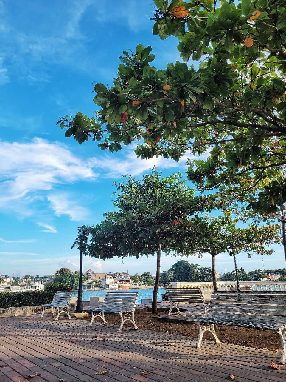 Scenic Coastal Stroll