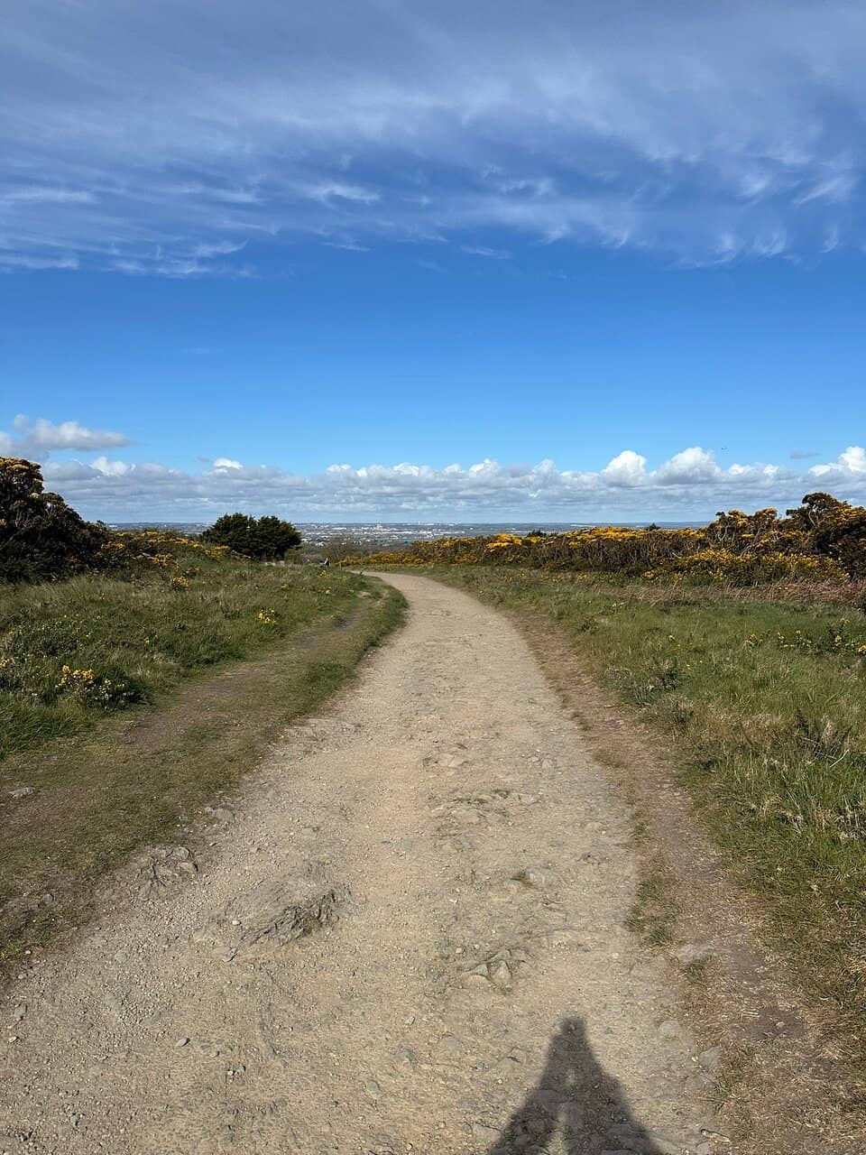 Ireland's Eye Excursion