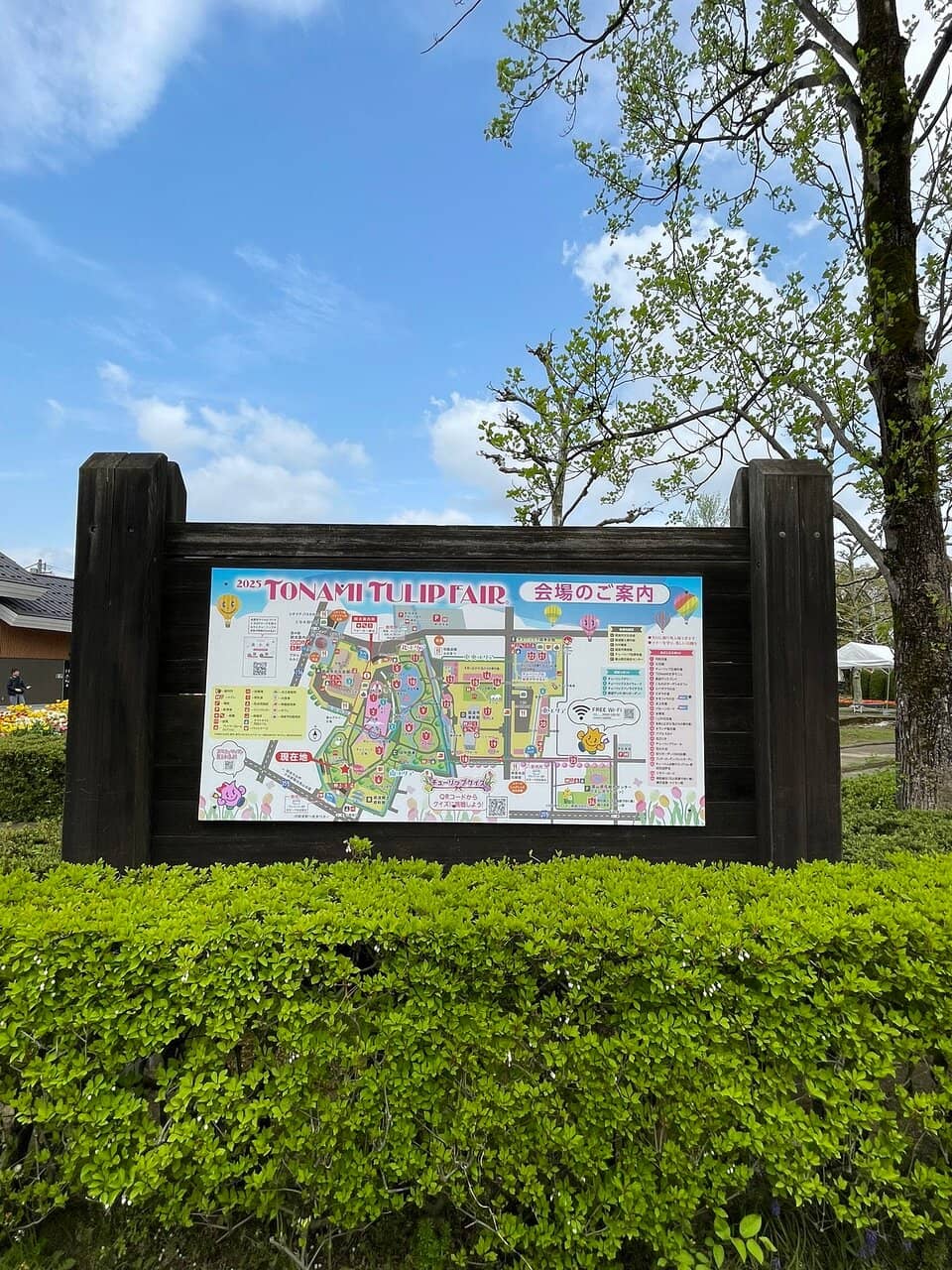 Year-Round Tulip Gallery