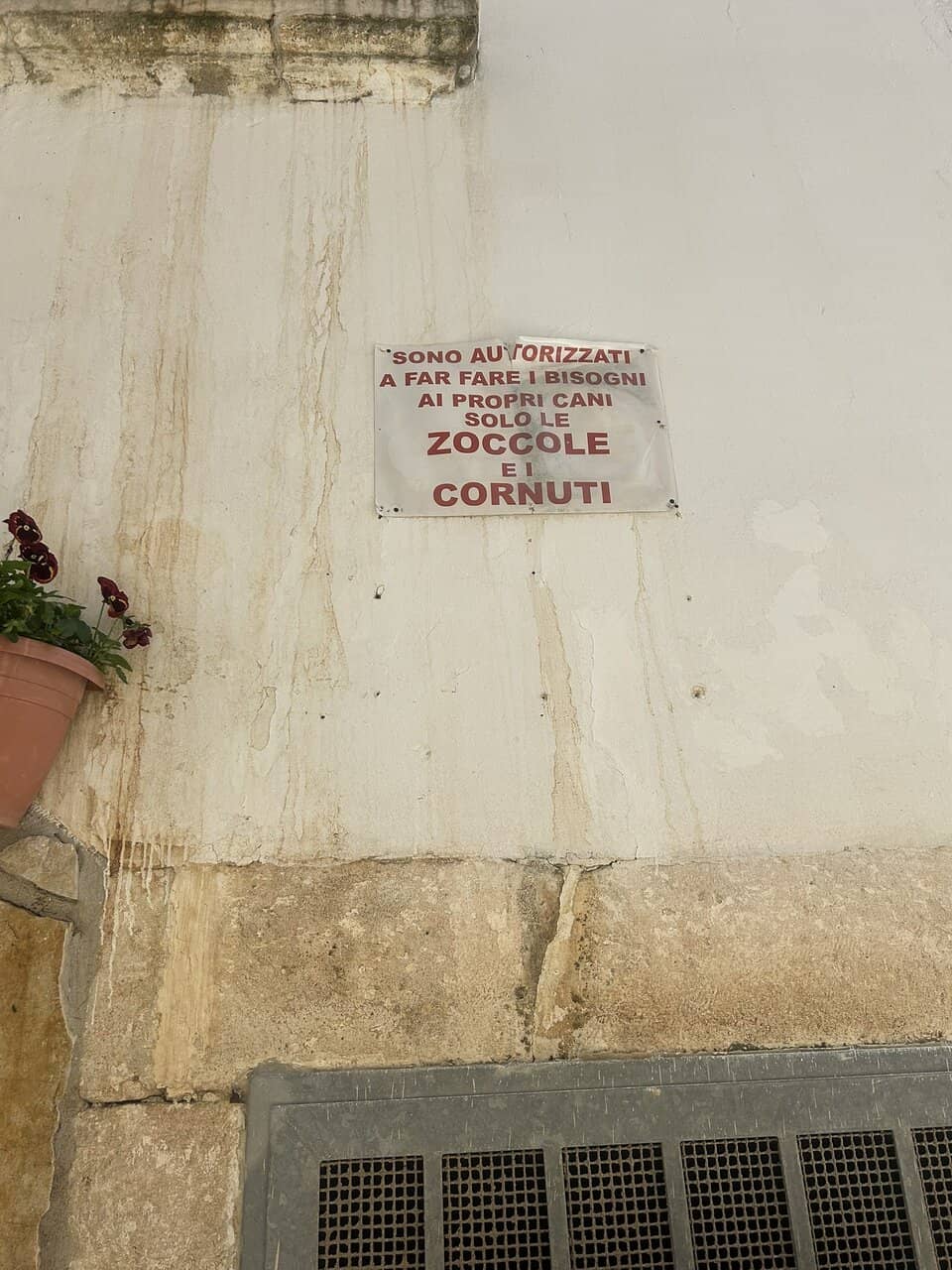 Local Lemon Delicacies