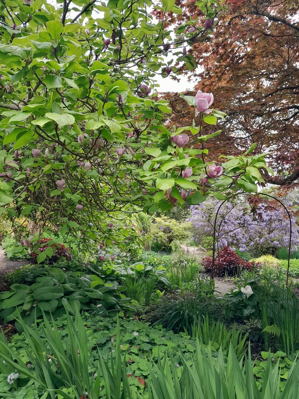 Woodland Walks & Lake