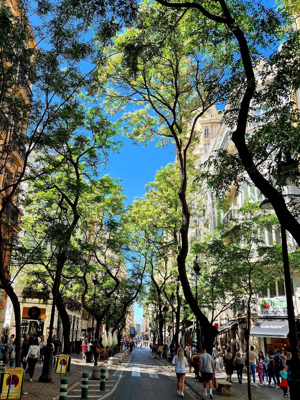 Vertical photo