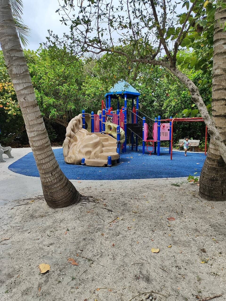 Family Fun Zone