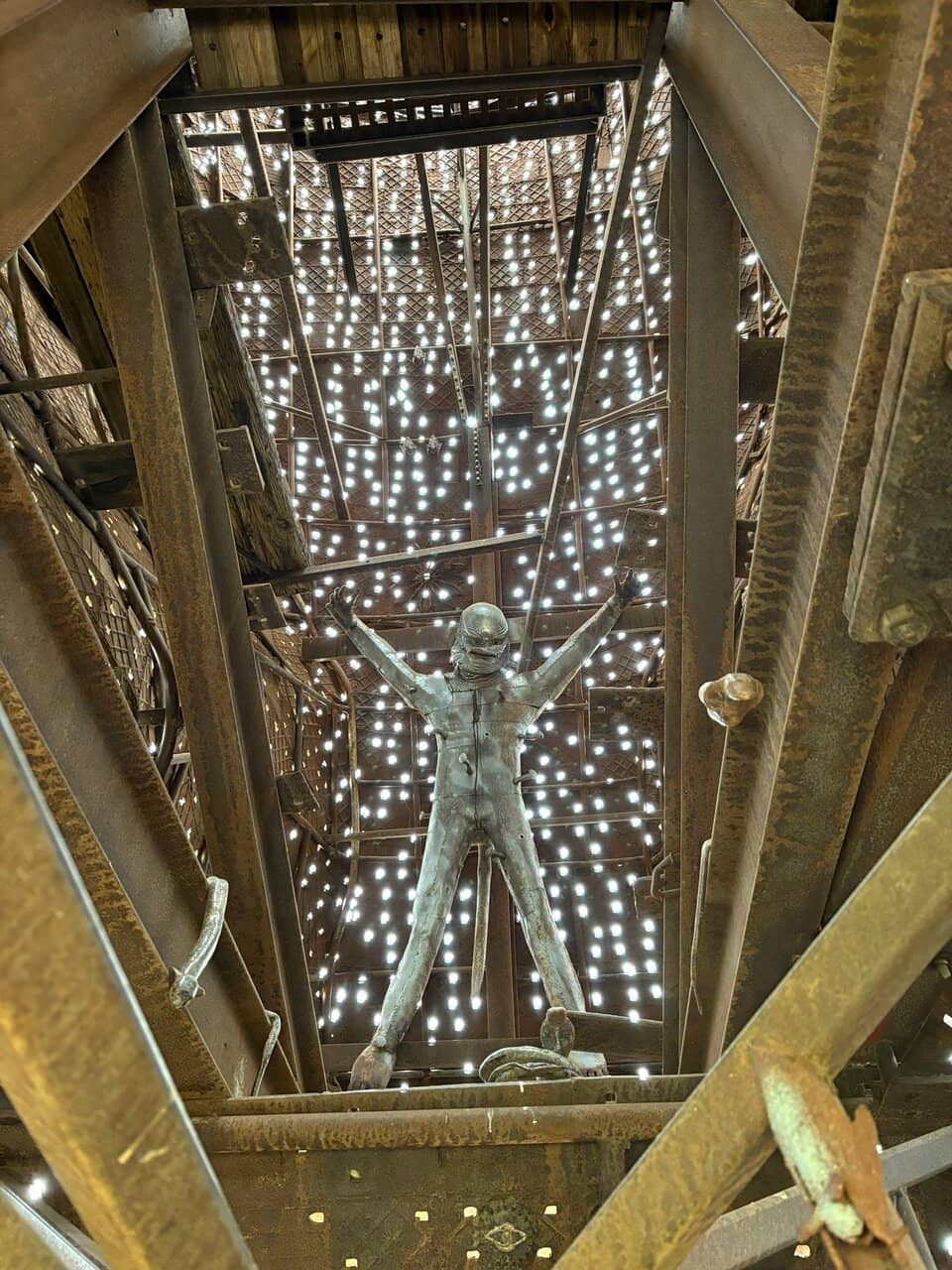 The Cracked Fish Bowl