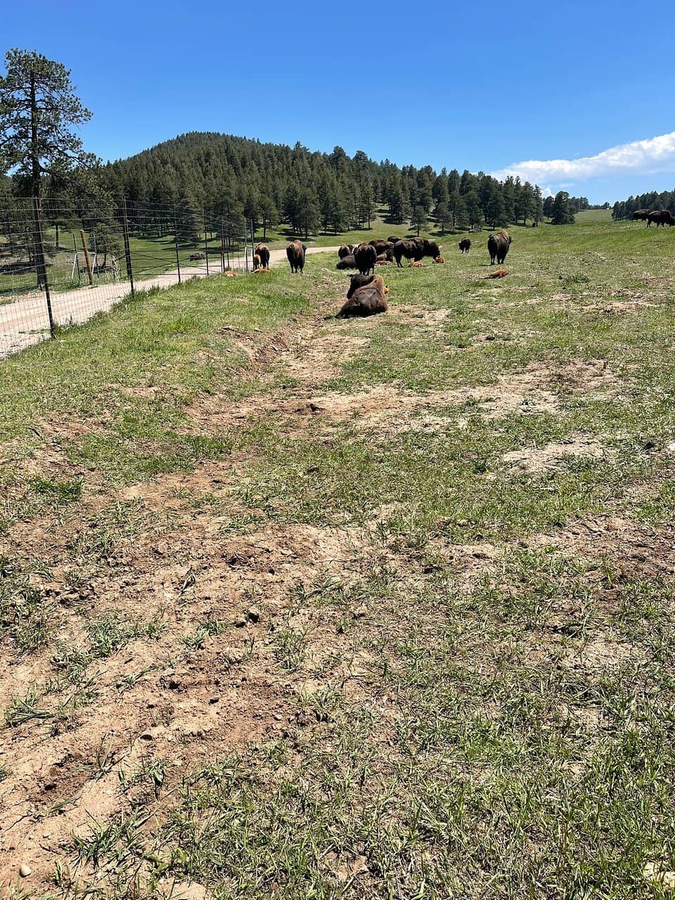 Scenic Hiking Trails